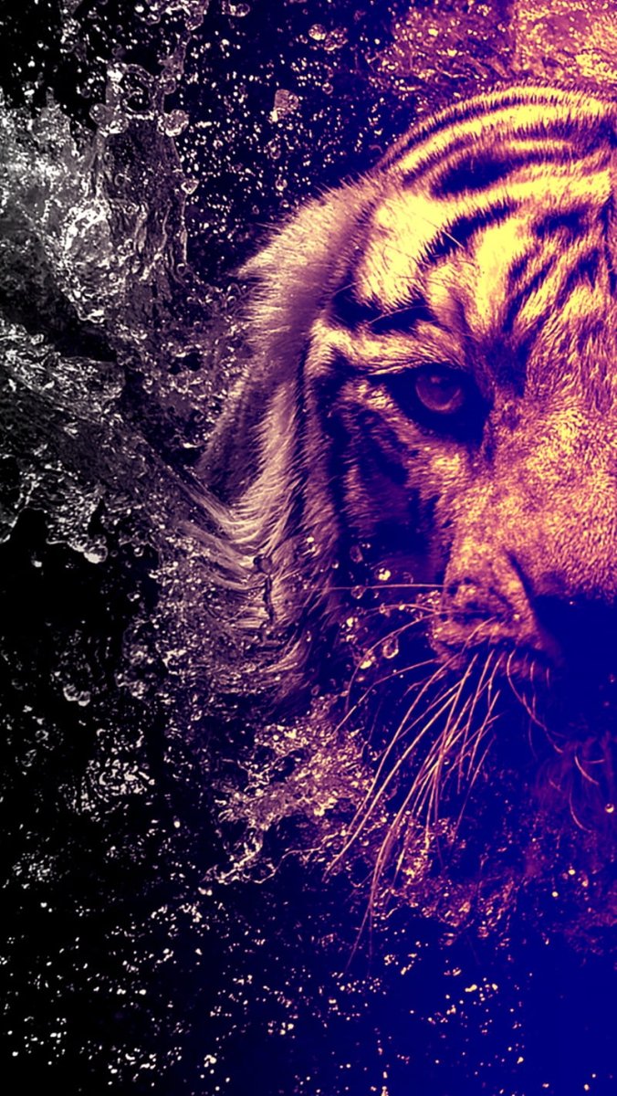 Тигр с эффектами