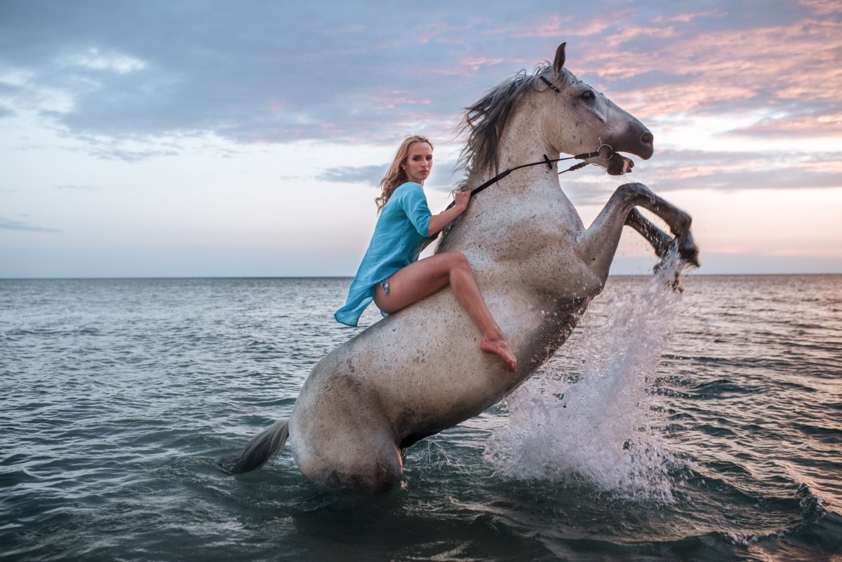 Лошадь плывет