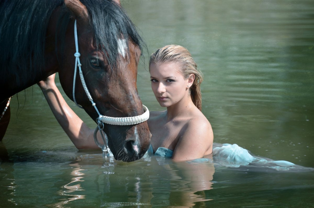 Лошадь купается