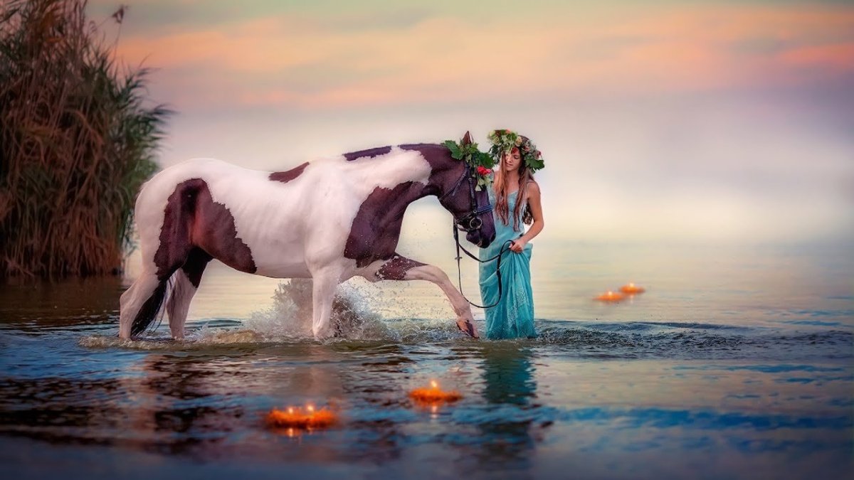 Лошади и море