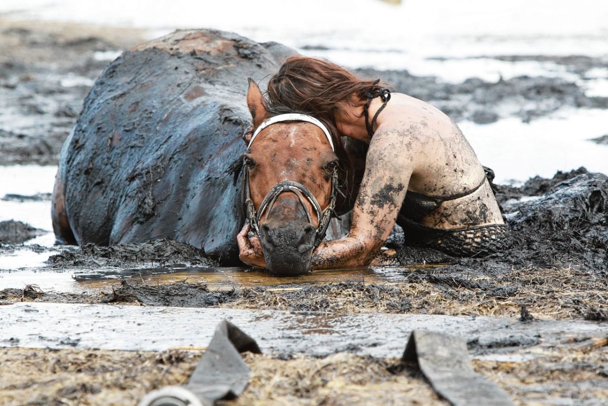 Николь Грэм и ее лошадь
