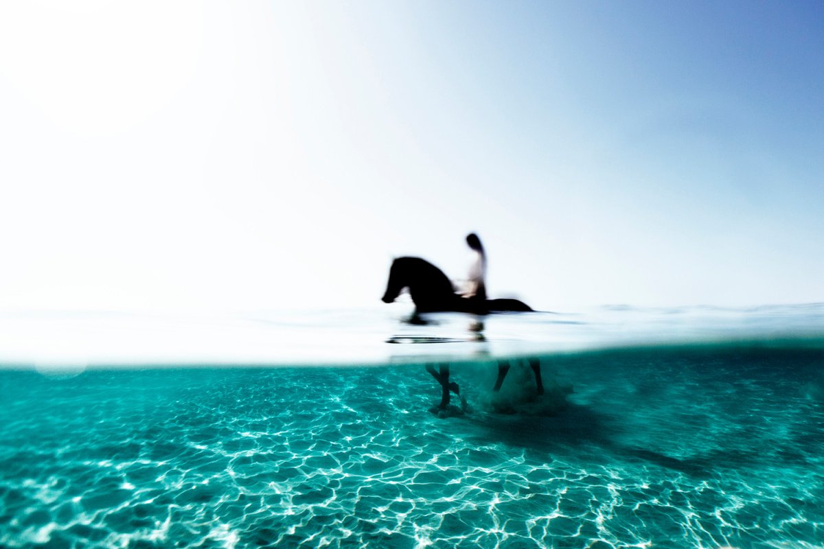 Подводные лошади