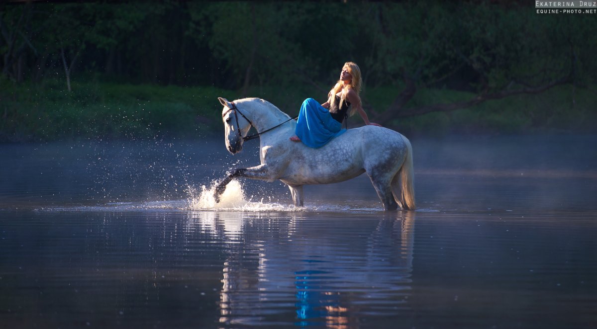 Девушка с лошадью