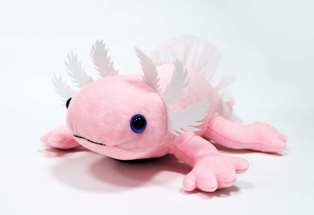 Аксолотль золотой дракон