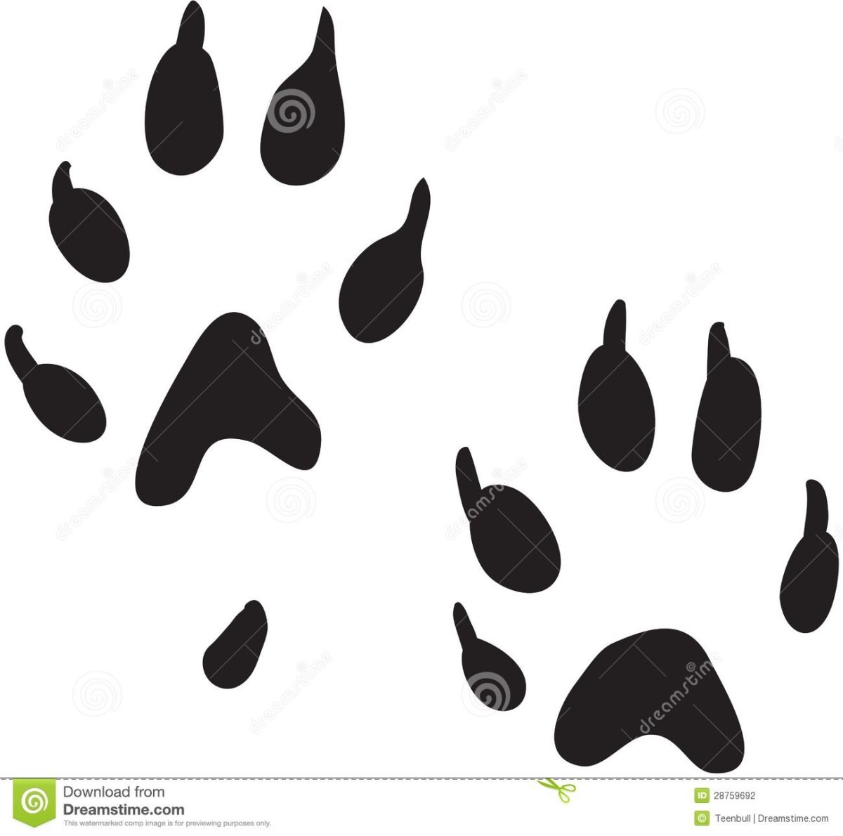 Отпечаток лапы хорька