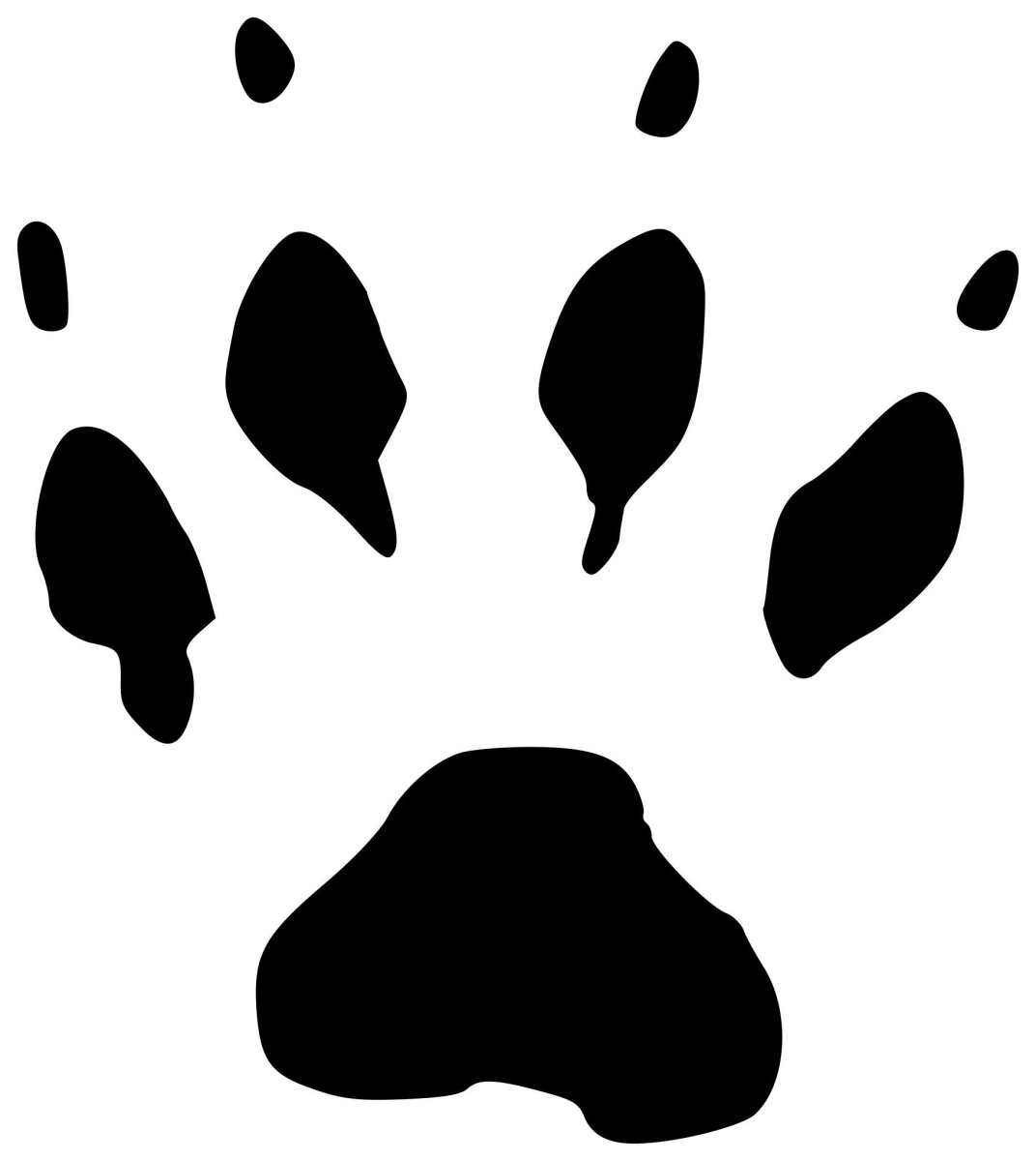 Следы коровы