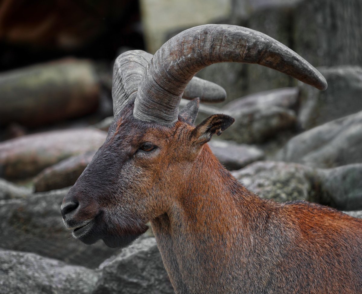 Дагестанский тур в Дагестане