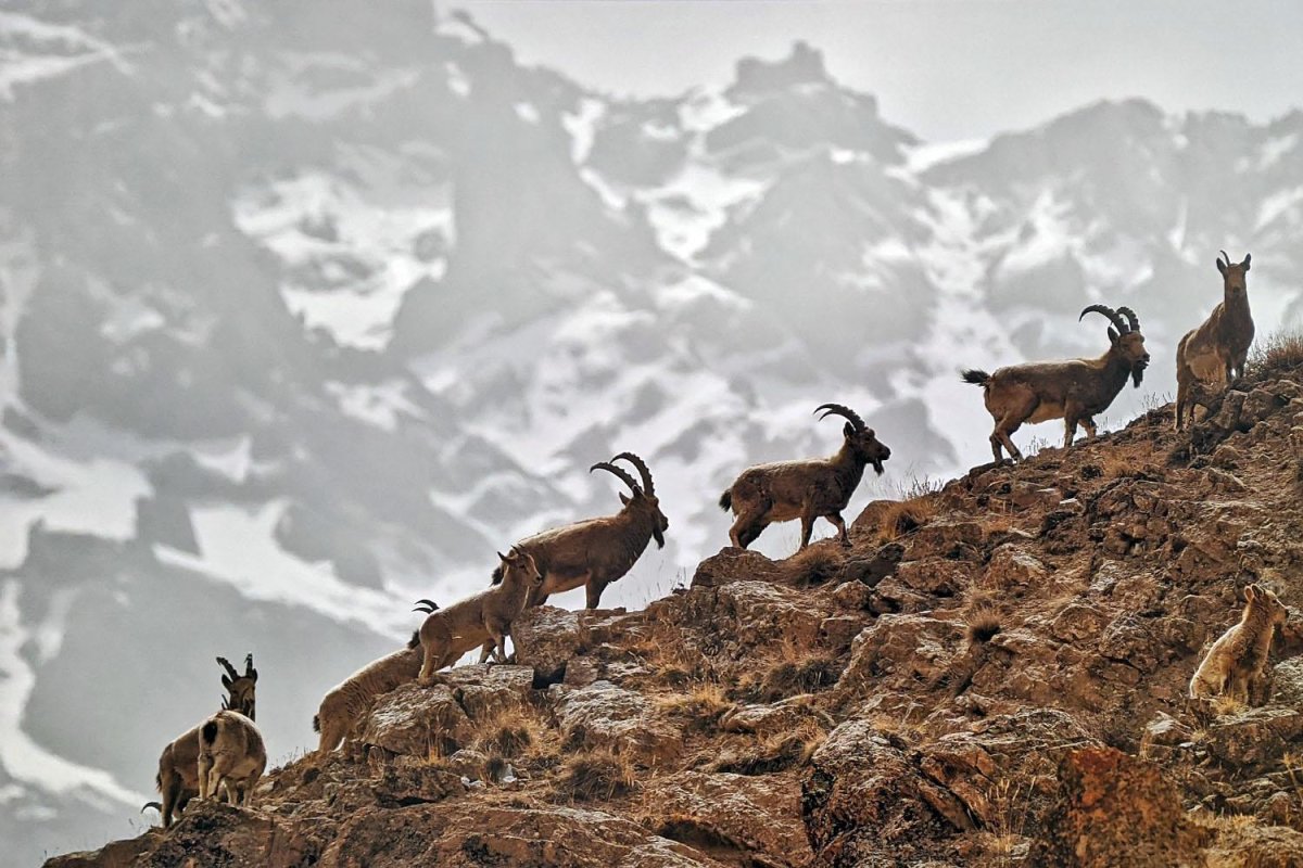 Первозданная Россия 2023