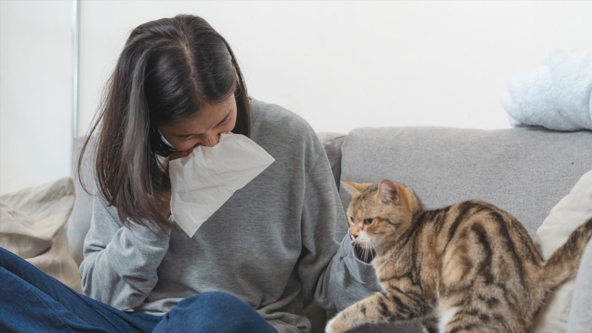 Домашние питомцы для аллергиков