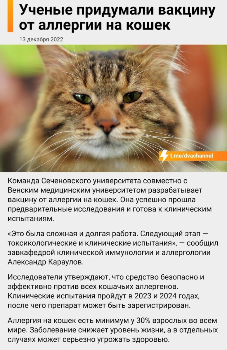 Самые аллергенные кошки