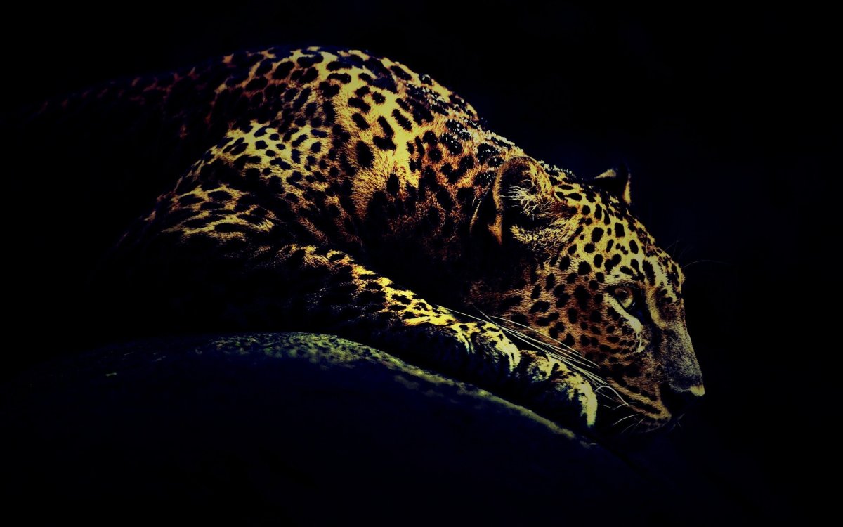 Ягуар на рабочий стол