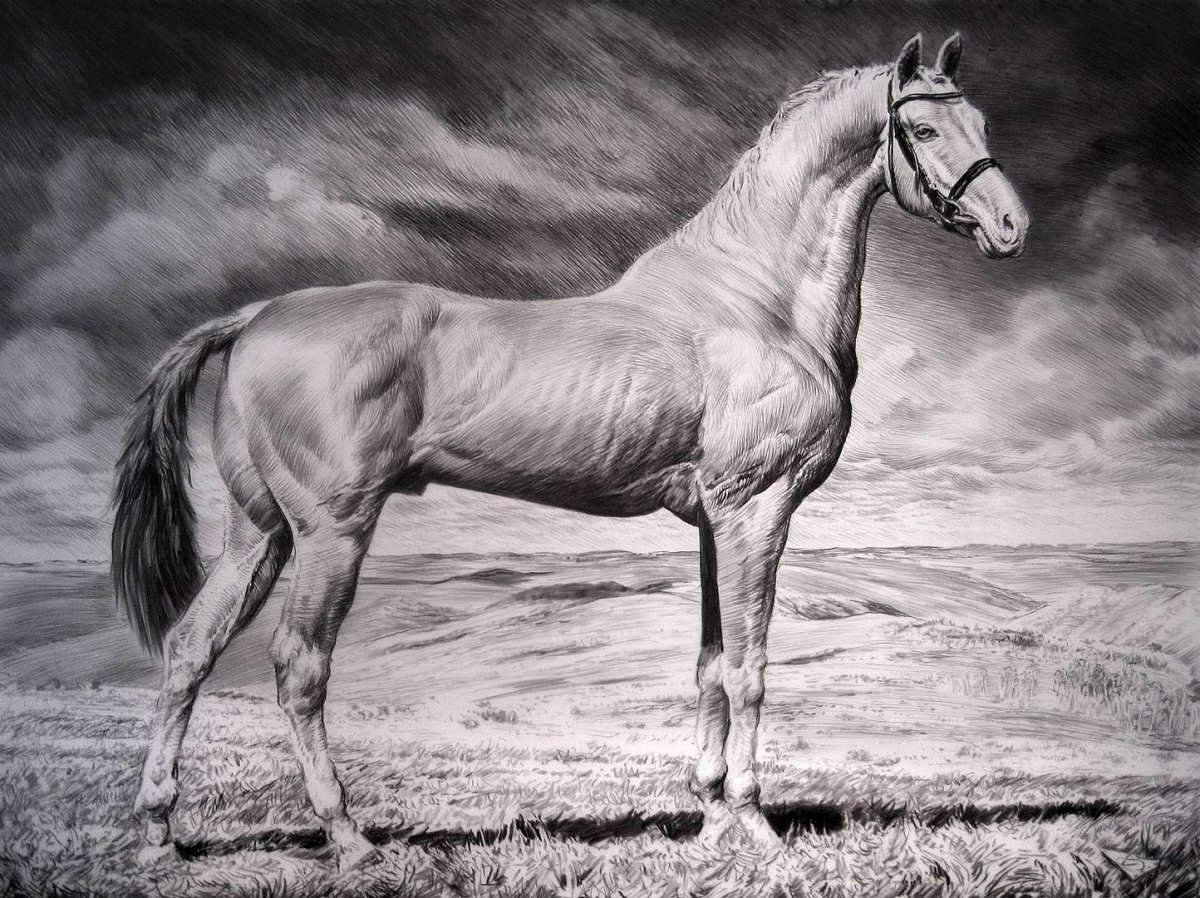 Пегий ахалтекинец