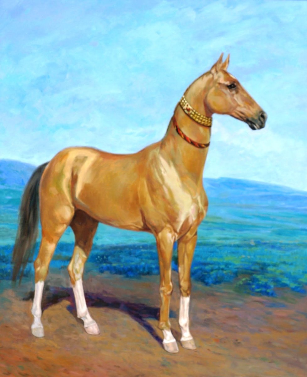 Пегий ахалтекинец