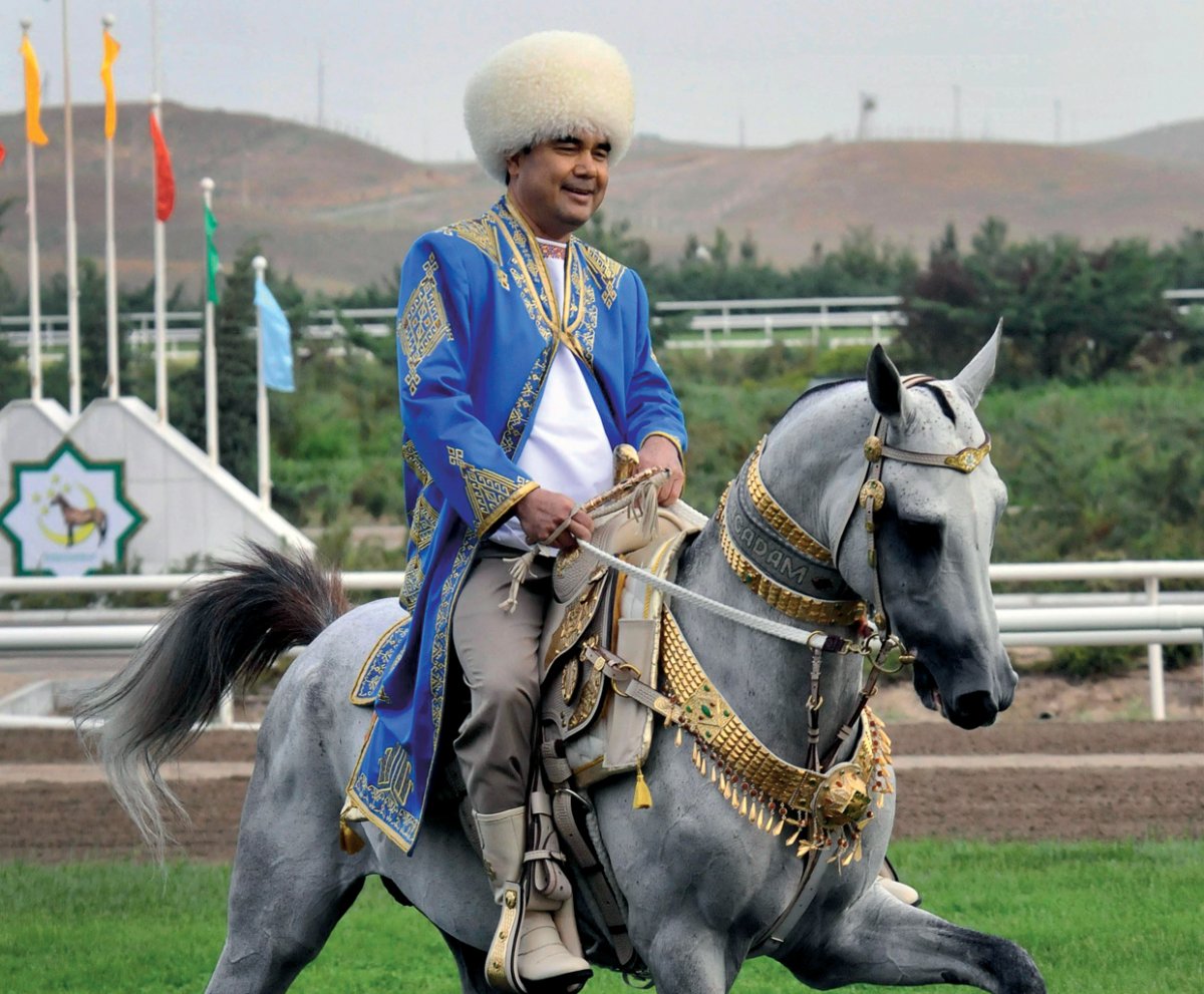 Туркменские кони Ахалтекинцы