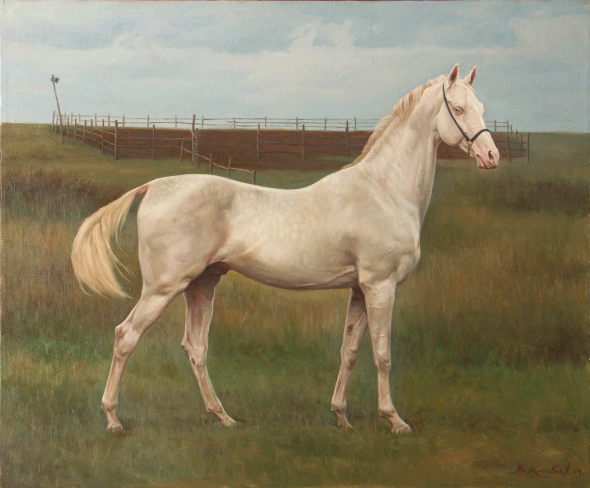 Ярослав Колобаев лошади