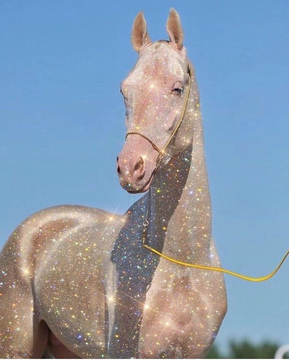 Изабелловая масть ахалтекинец