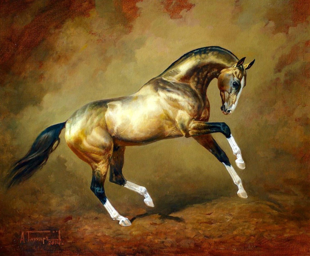 Лошади брейер ахалтекинской породы