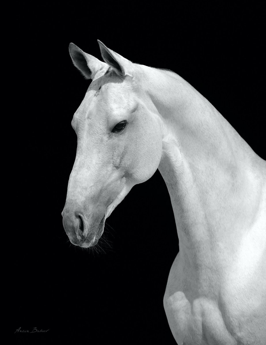 Артур Бабоев