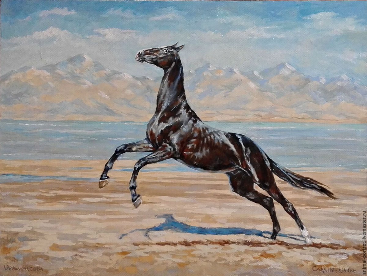 Пегий ахалтекинец