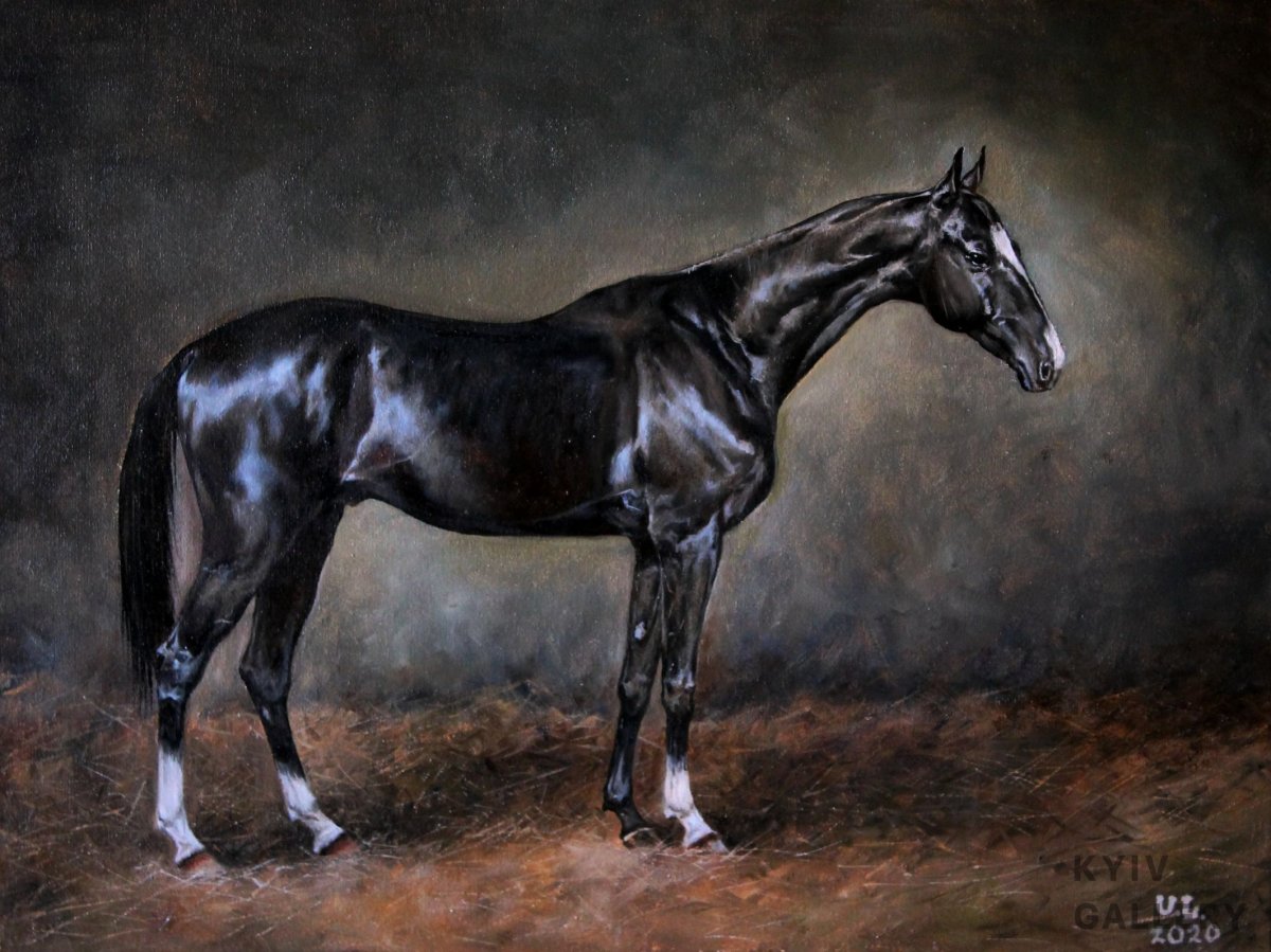 Пегий ахалтекинец