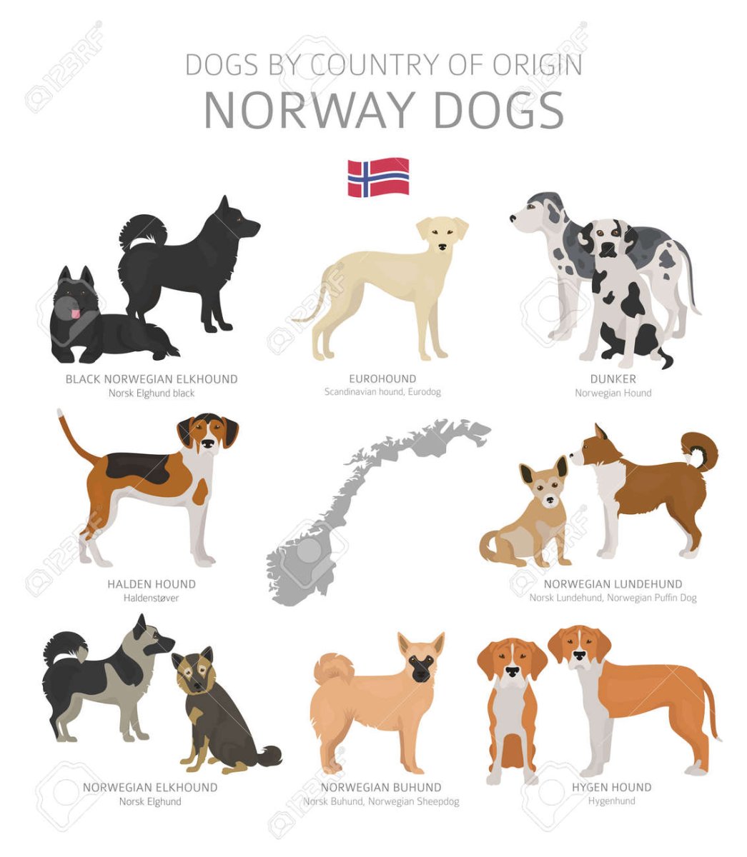 Собачья Страна