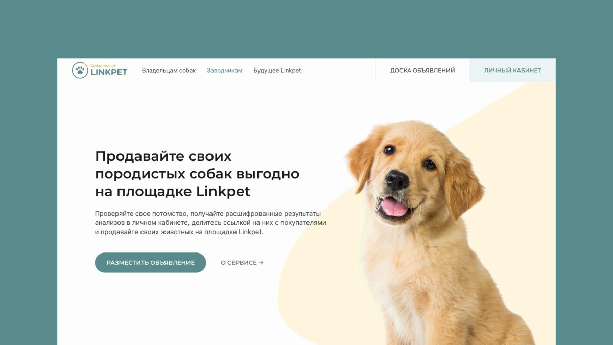 Лендинг пейдж ветеринарная клиника