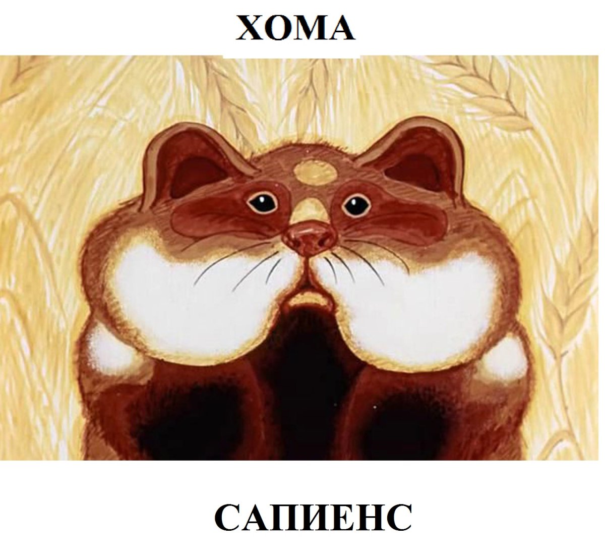 Хомячок из мультика