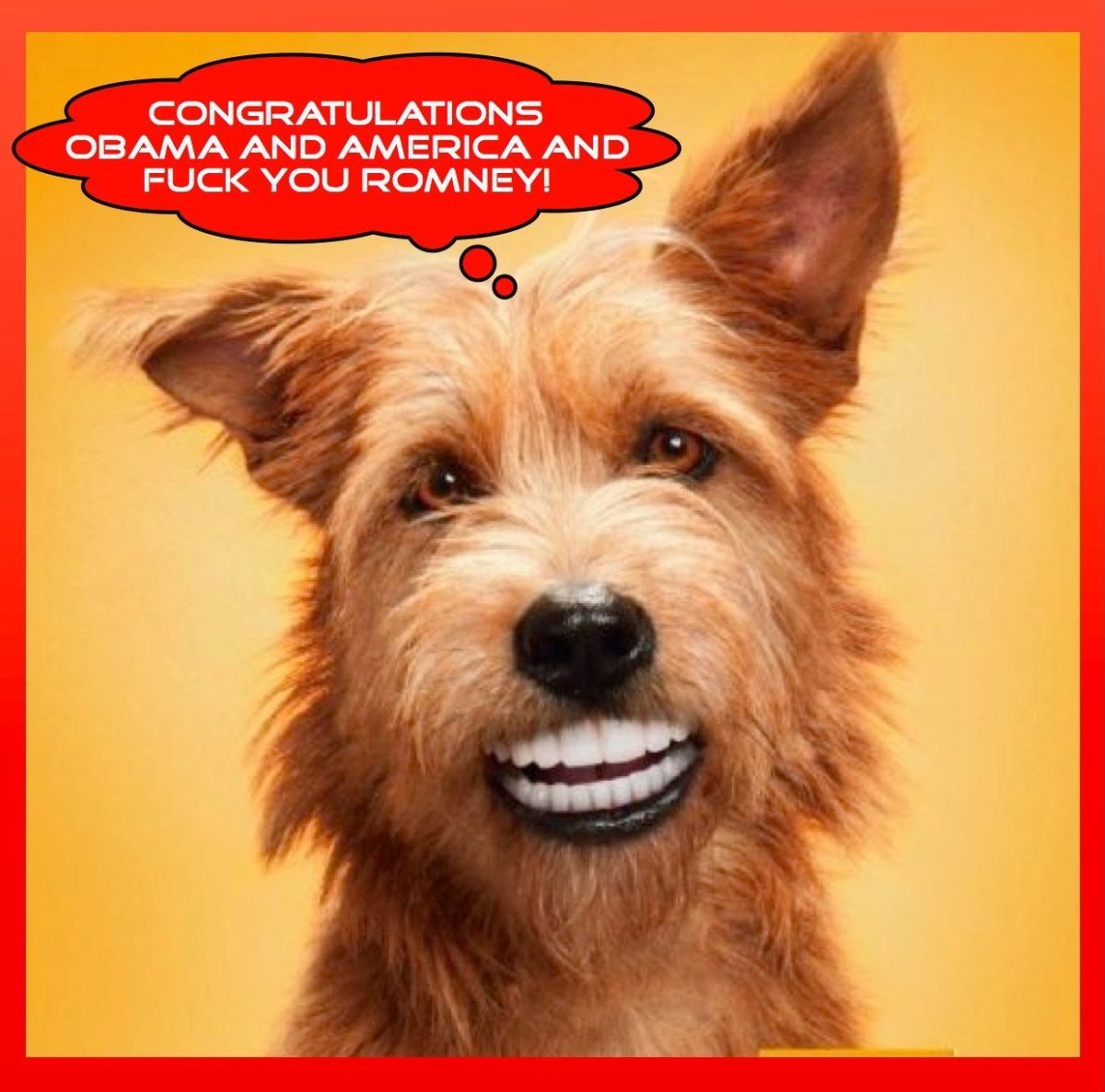 Собака с человеческими зубами