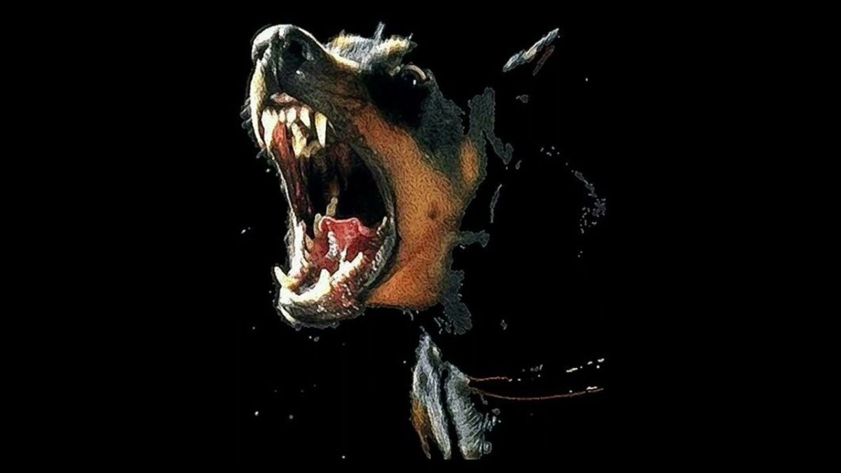 Доберман злой