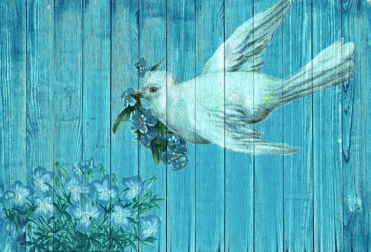 Обои с птичками