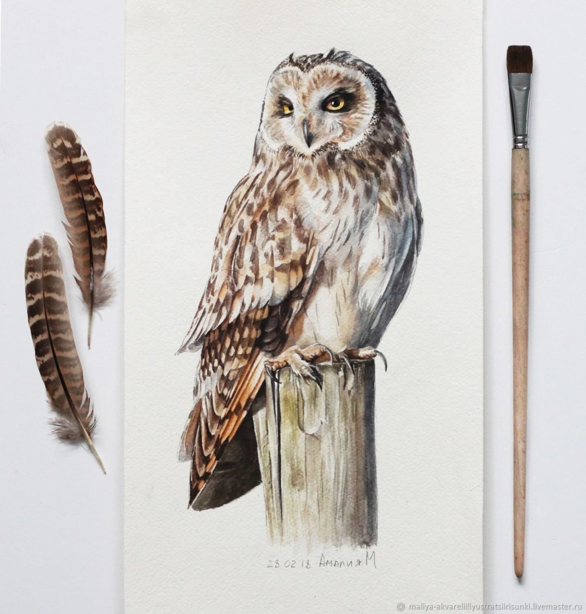 Сова акварелью