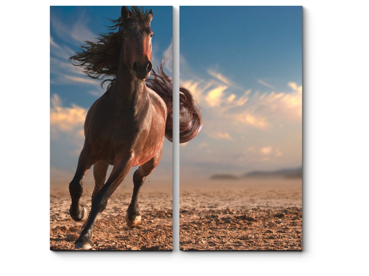 Бегущий Мустанг