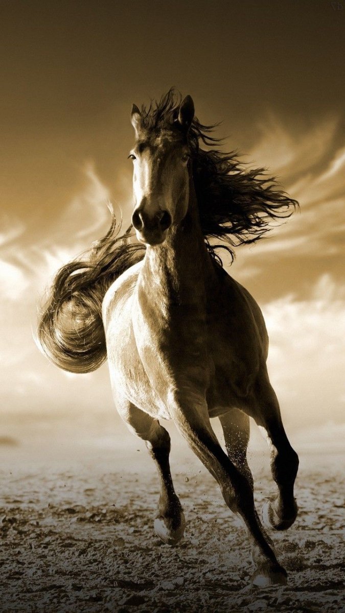 Мустанг лошадь