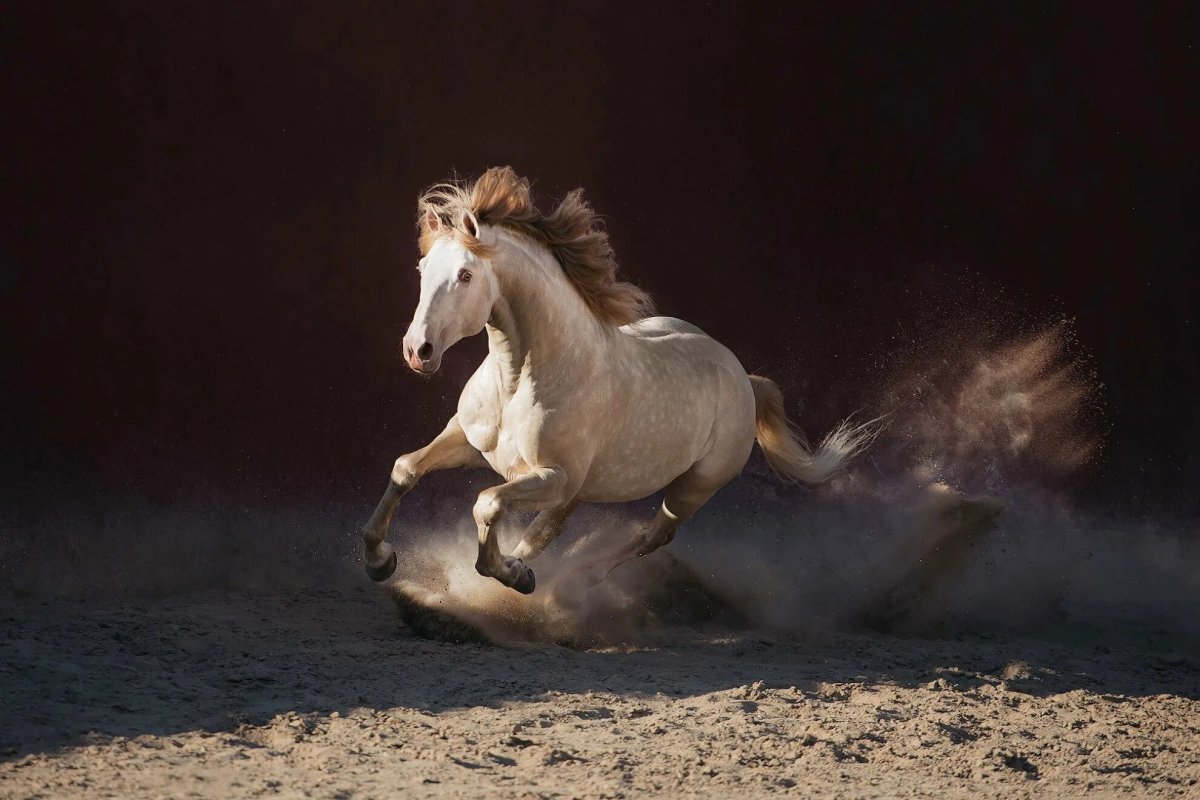 Бегущий Мустанг