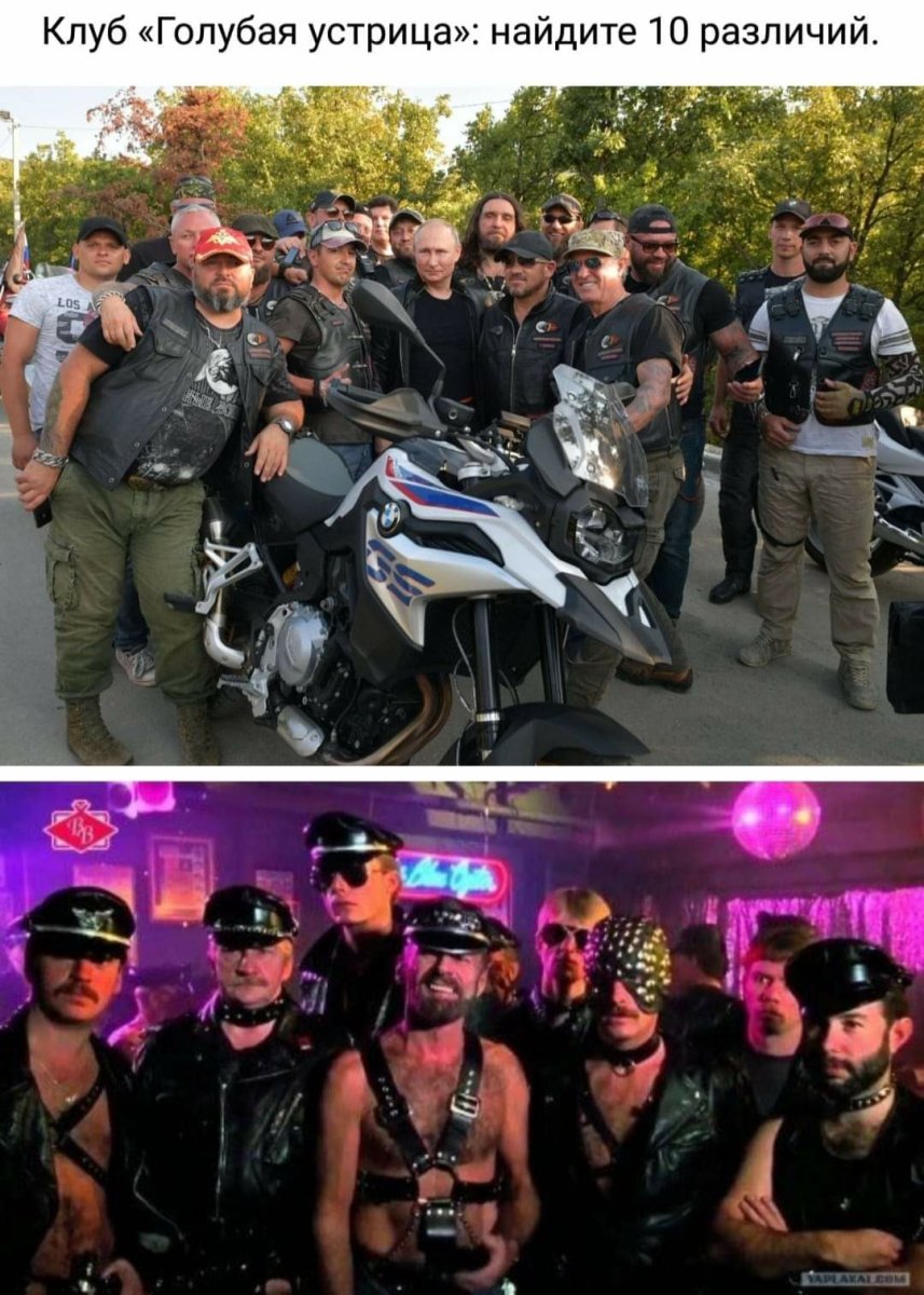 Байкеры голубая Устрица