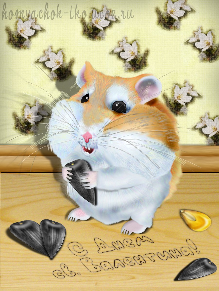 Хомяк прикольный