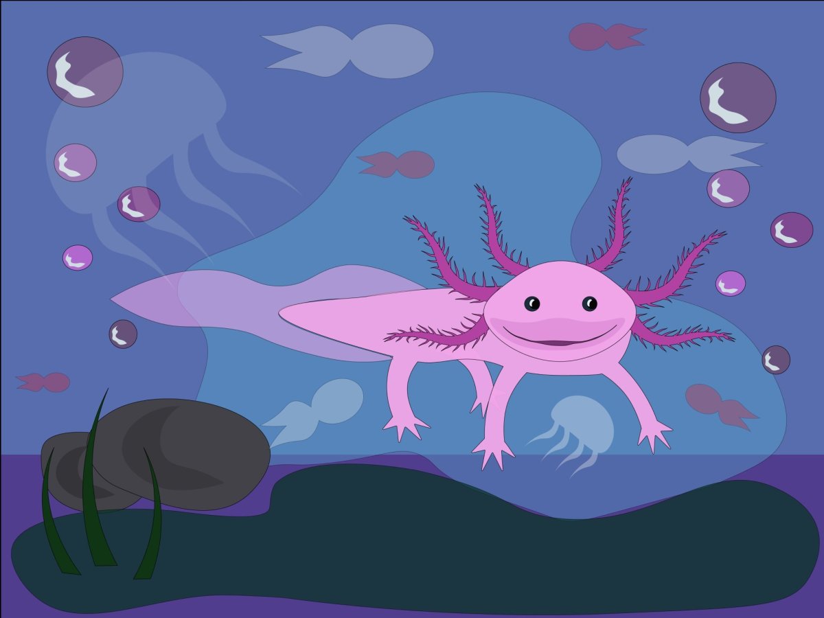 Покемон аксолотль