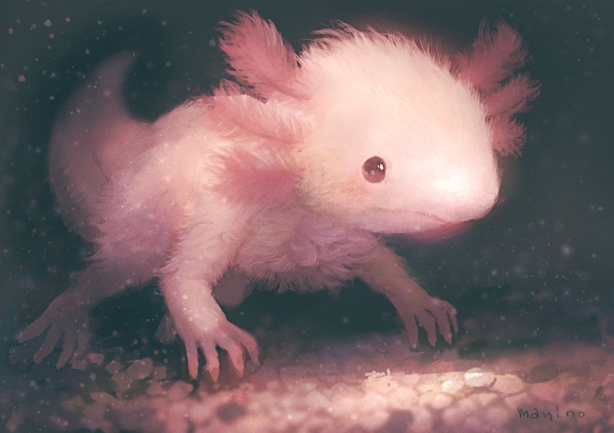 Аксолотль Геншин