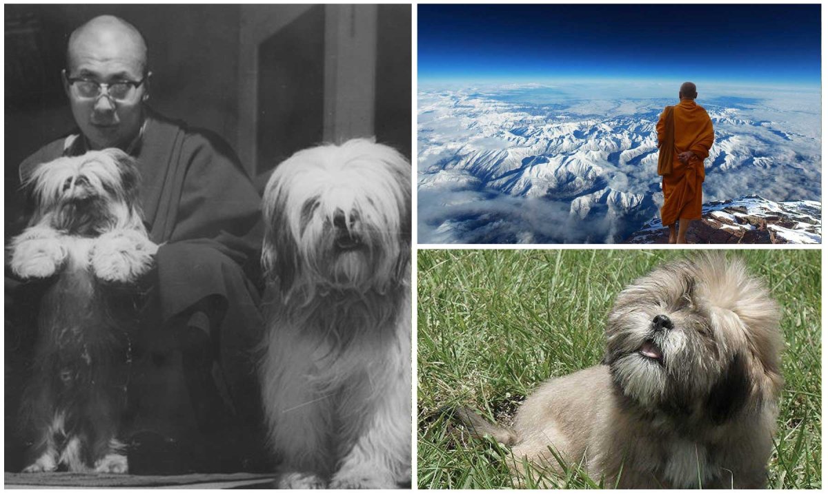 Лхаса Апсо в Тибете