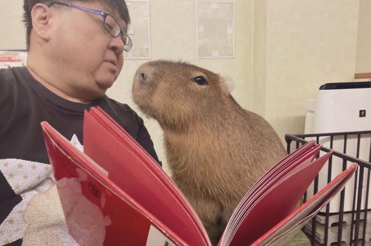 Капибара Дон Педро