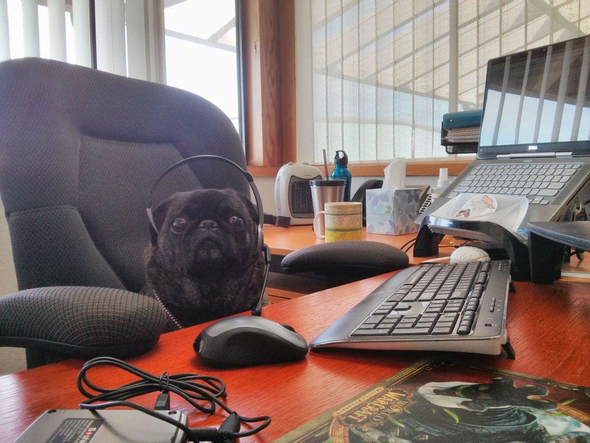 Колл центр смешные