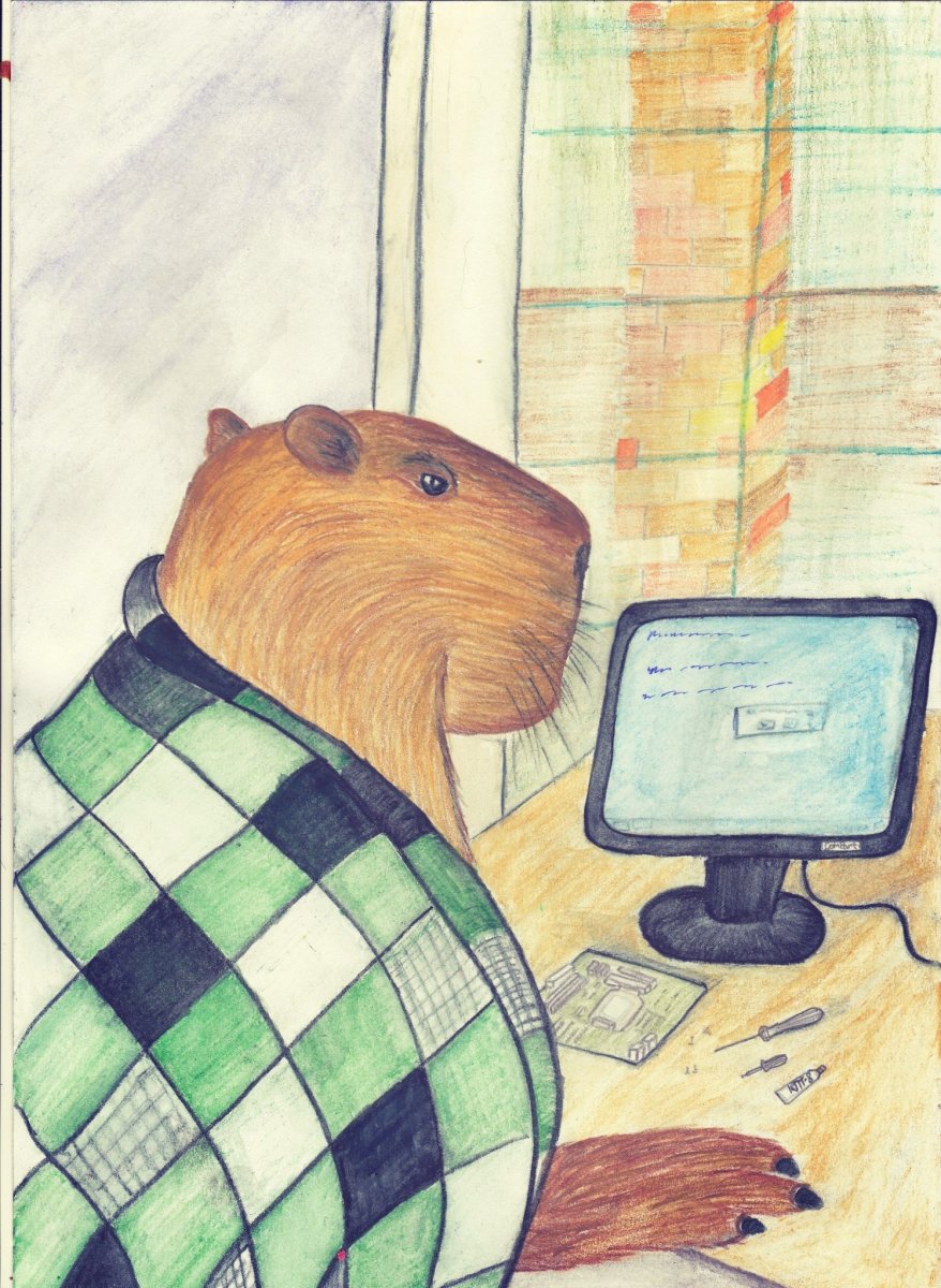 Капибра за компьютером