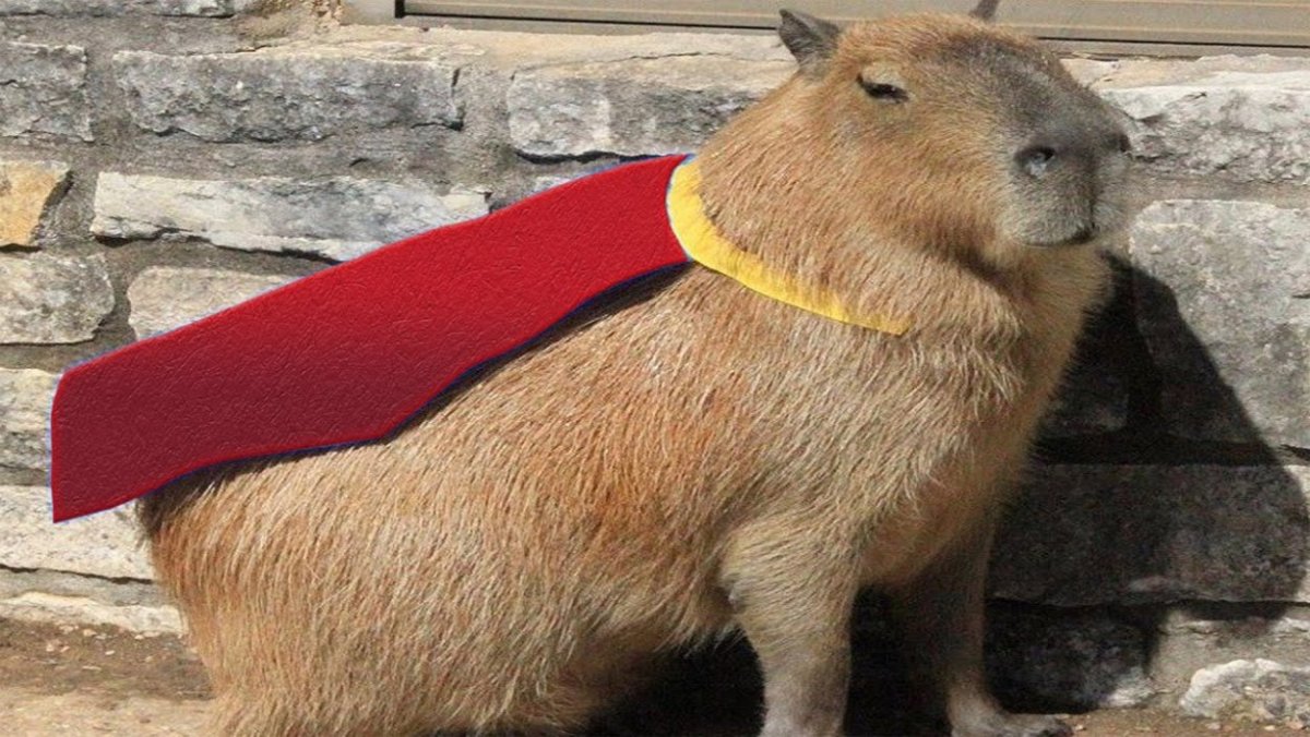 Окей ай пул ап капибара