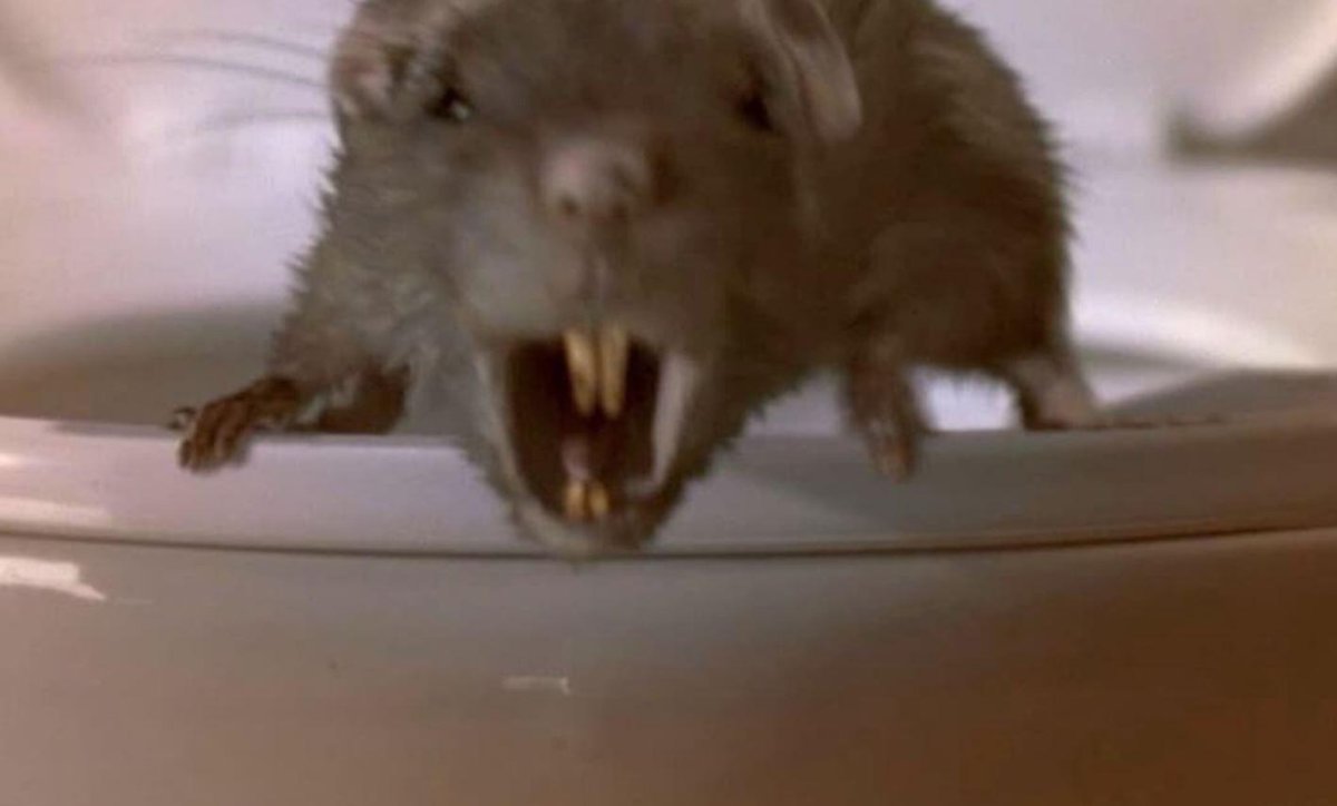 Бешеная крыса фильм 1998