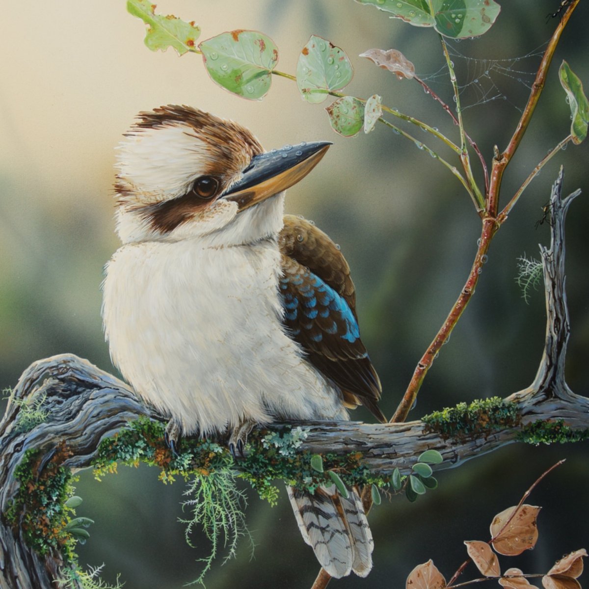 Кукабарра Art