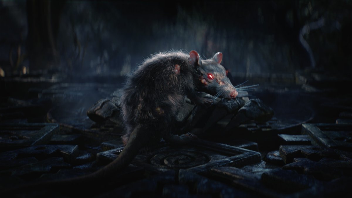 Гигантская крыса дарк соулс 1