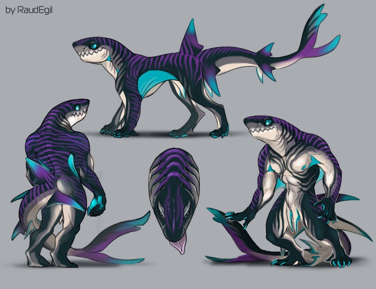 Антро тигровая акула