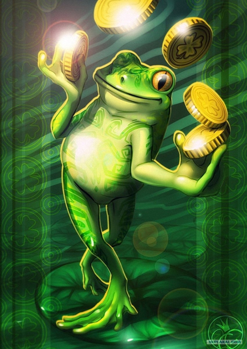 Забавные лягушки