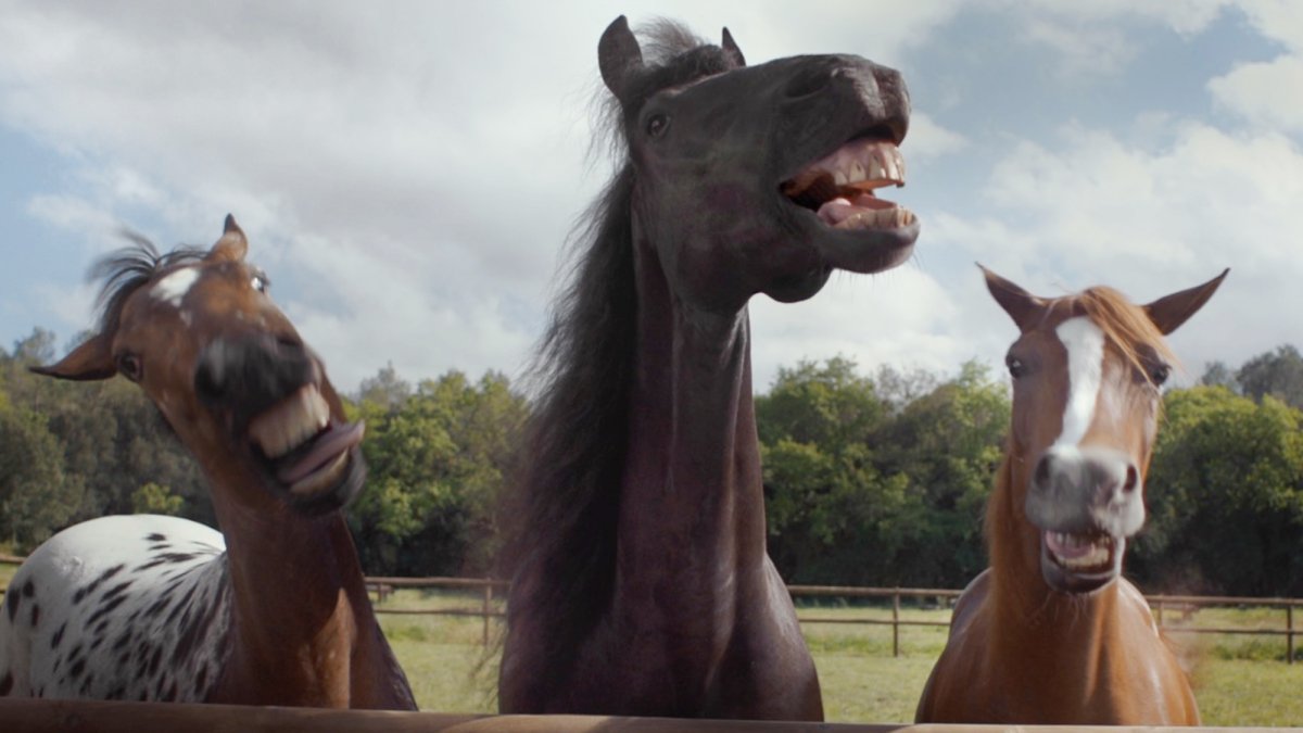 Лошадь смеется