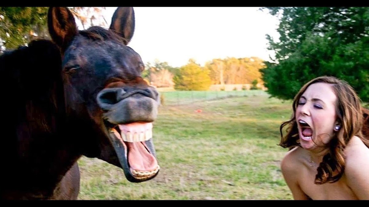 Ржачная девушка